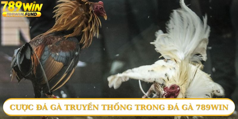 Cược gà nòi trong đá gà 789win