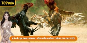 Đá Gà Cựa Dao 789win - Tìm Hiểu Những Thông Tin Chi Tiết
