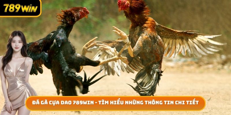 Đá Gà Cựa Dao 789win - Tìm Hiểu Những Thông Tin Chi Tiết