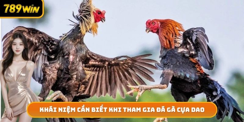 Khái niệm cần biết khi tham gia đá gà cựa dao