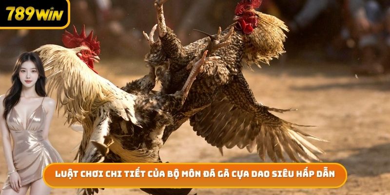 Luật chơi chi tiết của bộ môn đá gà cựa dao siêu hấp dẫn