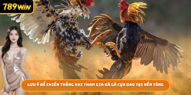 Lưu ý để chiến thắng khi tham gia đá gà cựa dao tại nền tảng