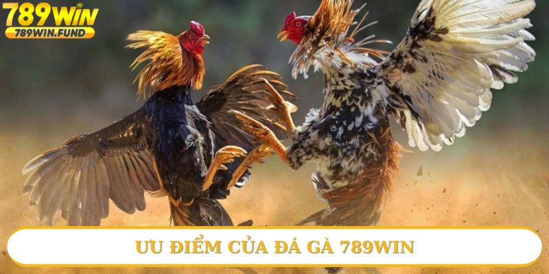Những điểm mạnh của đá gà 789win