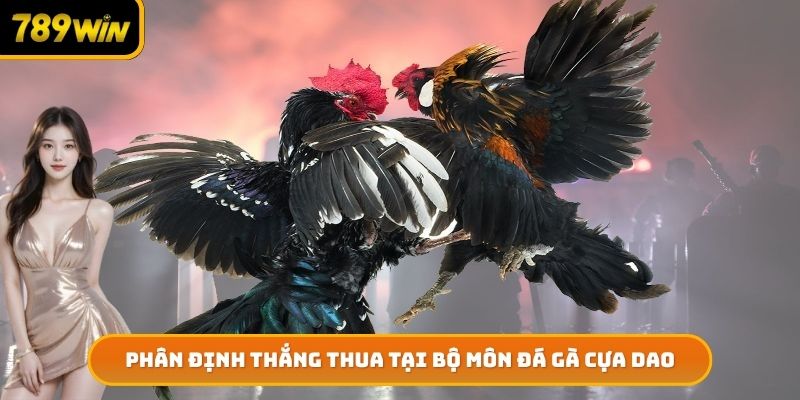 Phân định thắng thua tại bộ môn đá gà cựa dao
