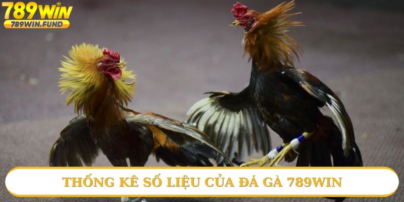 Số liệu tổng hợp về đá gà 789win