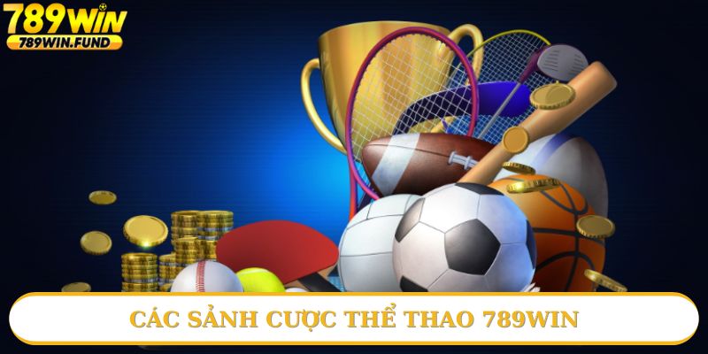 Thể thao 789win đa dạng sảnh cược